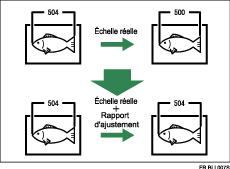 Illustration de l&apos;ajustement du coefficient